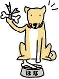 ϤʡƸ᥹ABICΥޥå